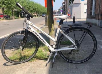 lichtgewicht OLYMPIA 27-speed,nagzien-alles werkt ! beschikbaar voor biedingen