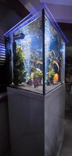 Nieuw aquarium aqualife zonder inhoud en techniek., Dieren en Toebehoren, Ophalen, Nieuw, Leeg aquarium