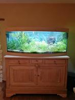 Juwel 450 vision aquarium, Dieren en Toebehoren, Ophalen, Gebruikt, Gevuld zoetwateraquarium