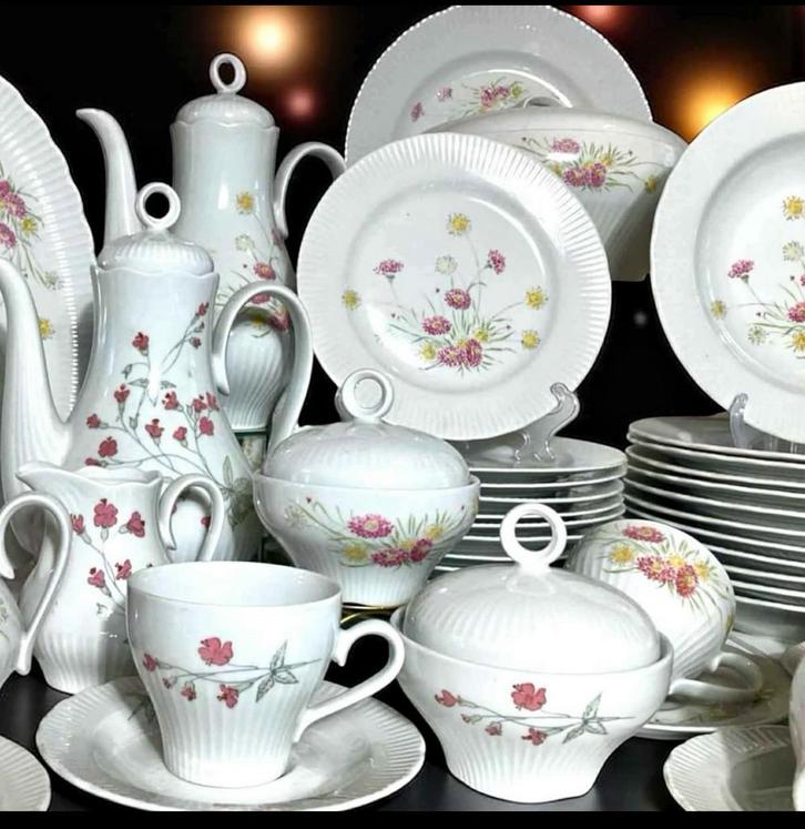 Complet 😍Sublime ancien service JLMENAU GRAF VONHENNENBERG, Antiek en Kunst, Antiek | Servies compleet, Ophalen