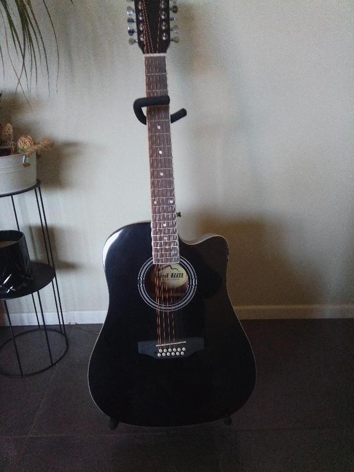 12 snarige gitaar, Muziek en Instrumenten, Snaarinstrumenten | Gitaren | Akoestisch, Zo goed als nieuw, 12-snarig, Ophalen