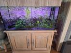 Aquarium, Hobby en Vrije tijd, Overige Hobby en Vrije tijd, Ophalen, Zo goed als nieuw