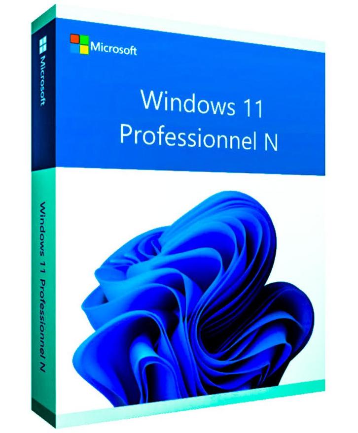 Microsoft Windows 11 Professionnel N  - 64 b, Informatique & Logiciels, Systèmes d'exploitation, Neuf, Windows, Enlèvement