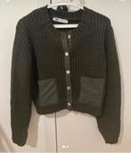 Cardigan Zara, Kleding | Dames, Zara, Ophalen of Verzenden, Zo goed als nieuw, Maat 36 (S)