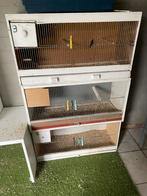 Kweekkooien vogels, Dieren en Toebehoren, Ophalen, Zo goed als nieuw, Hout, Broedkooi of Kweekkooi