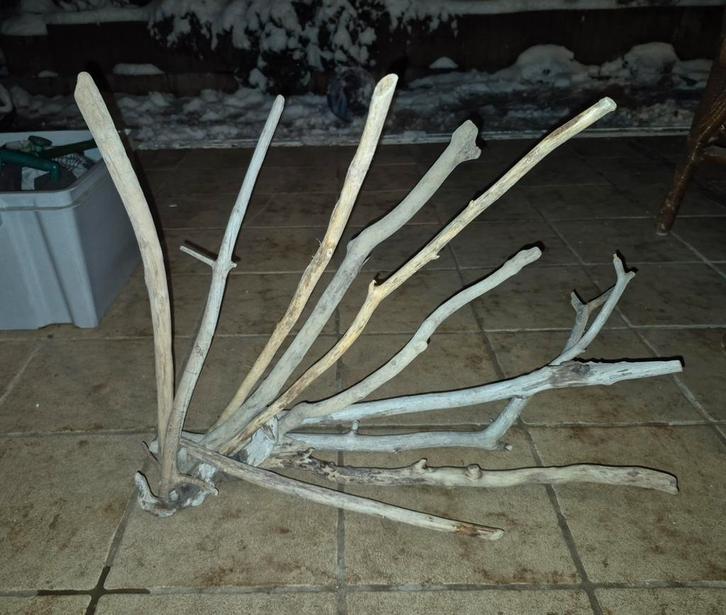 Houtwortels van het aquarium, Dieren en Toebehoren, Vissen | Aquaria en Toebehoren, Ophalen