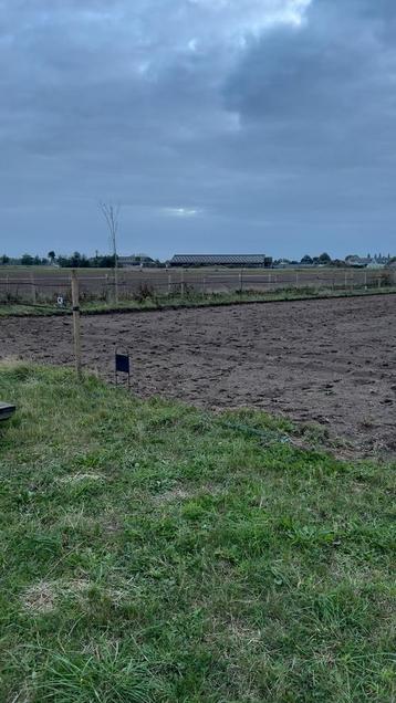 Stalling volpension beschikbaar voor biedingen