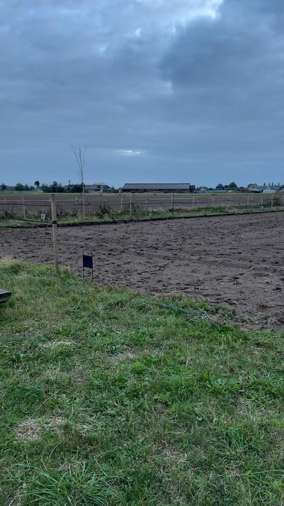 Stalling volpension, Dieren en Toebehoren, Stalling en Weidegang, Stalling