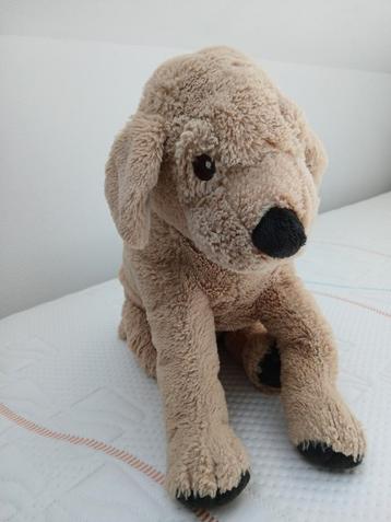Knuffel hond  beschikbaar voor biedingen
