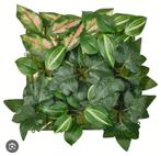 FEJKA 
Plante artificielle, Jardin & Terrasse, Plantes | Arbres, Enlèvement