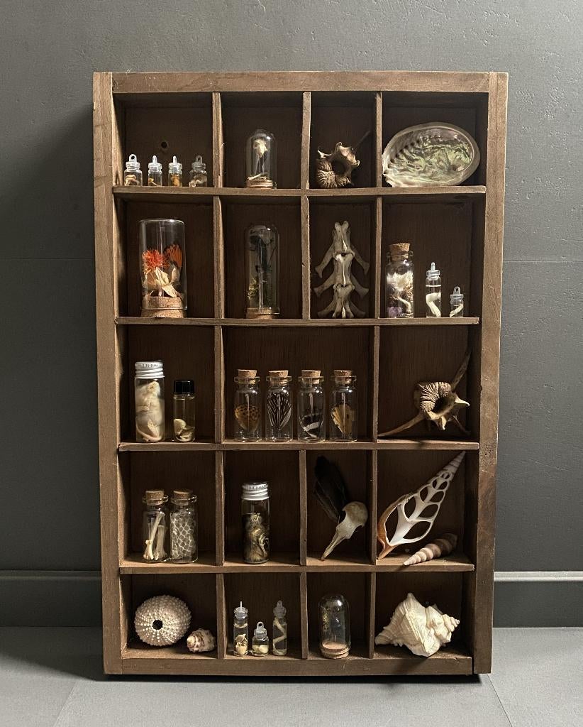 Houten rariteiten letterbak - letterkastje, Verzamelen, Dierenverzamelingen, Ophalen of Verzenden