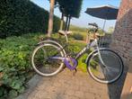 FLEUR meisjesfiets 24 inch - paars/wit met bagagedrager, Fietsen en Brommers, Ophalen of Verzenden, Fleur, Handrem, Gebruikt
