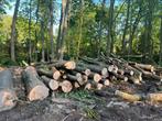 Amerikaanse Eik, lengtes 4 - 5m, processor brandhout ideaal, 6 m³ of meer, Ophalen, Eikenhout, Stammen