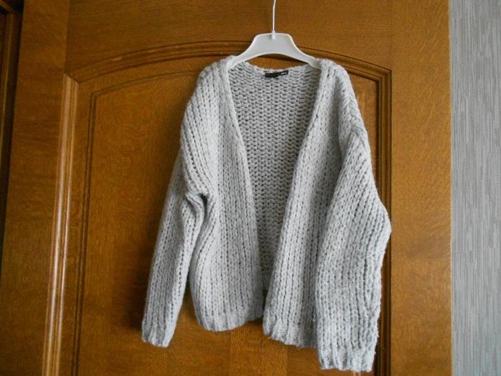 grijze gilet JBC mt 110, Kinderen en Baby's, Kinderkleding | Maat 110, Gebruikt, Meisje, Trui of Vest, Ophalen of Verzenden