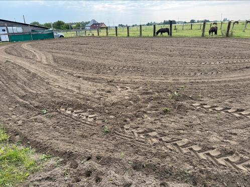 Te huur : stal met weide en piste, Dieren en Toebehoren, Stalling en Weidegang, Stalling, Weidegang, 1 paard of pony