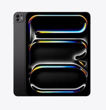 APPLE iPad Pro Tablet M4 13wif 2TB SPB beschikbaar voor biedingen