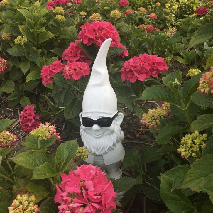 Tuinkabouter wit met zonnebril - 41cm - Tuindecoratie, Tuin en Terras, Tuinbeelden, Nieuw, Tuinkabouter, Kunststof, Ophalen of Verzenden