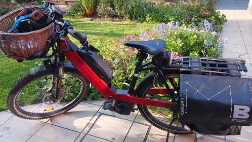 Speedpedelec Riese en Muller / geschikt vr hondenliefhebber, Fietsen en Brommers, Elektrische fietsen, Gebruikt, Riese & Müller