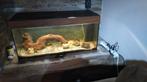 Aquarium Juwel, Animaux & Accessoires, Enlèvement, Utilisé, Élément de décoration