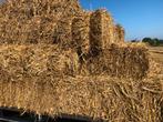 Hooi en stro kleine balen, Zakelijke goederen, Landbouw | Veevoer, Ophalen