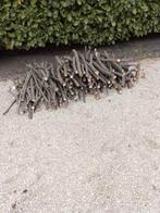 Brandhout, Tuin en Terras, Brandhout, Ophalen