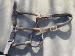 Halster blauw, Dieren en Toebehoren, Ophalen of Verzenden, Zo goed als nieuw