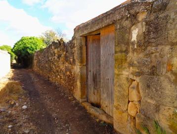 Jardin à Maella (Aragon, Espagne) - 1016 disponible aux enchères