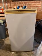 Proline diepvries, Elektronische apparatuur, Vriezers en Diepvrieskisten, Ophalen, Gebruikt