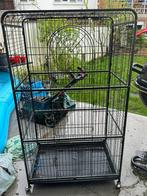 Cage pour octodon , hamster etc, Animaux & Accessoires, Comme neuf