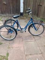 Eco trike 3 wieler, Fietsen en Brommers, Ophalen of Verzenden, Zo goed als nieuw