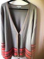 Grijze gilet, Maat 38/40 (M), Nieuw, Oranje, Ophalen of Verzenden
