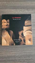 Gaudi la pedrera, Enlèvement