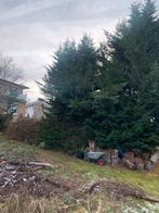 Cherche aide, Jardin & Terrasse, Enlèvement ou Envoi