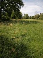 Weide 1.2HA, eigen beheer, Weidegang, 2 of 3 paarden of pony's