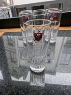 6x jupiler glas, Ophalen, Jupiler