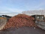 Voederbieten, Articles professionnels, Agriculture | Aliments pour bétail, Enlèvement ou Envoi