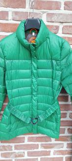 Korte jas merk: Hampton Bays laat 42, Kleding | Dames, Jassen | Winter, Ophalen of Verzenden, Zo goed als nieuw, Maat 42/44 (L)