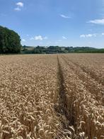 Kleine balen stro, Dieren en Toebehoren