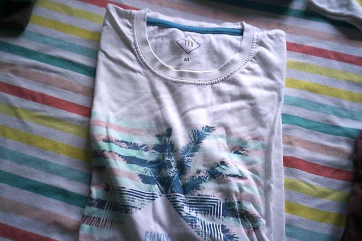 Overige mannen t-shirts, Kleding | Heren, T-shirts, Gedragen, Maat 48/50 (M), Overige kleuren, Ophalen of Verzenden