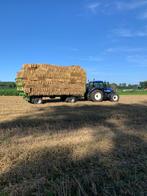 Kleine balen tarwestro, Dieren en Toebehoren, Pony's
