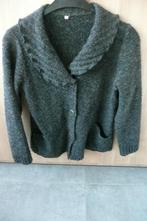 Grijze gilet/vest (K580), Kleding | Dames, Ophalen of Verzenden, Gedragen, Maat 38/40 (M), Grijs