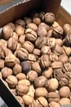 Noix bio du verger 3kg pour 5€