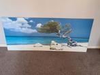 Exotisch strand Aruba - afbeelding op canvas, Print, 125 cm of meer, Zo goed als nieuw, 50 tot 75 cm