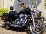 Harley-Davidson SPORTSTER XL1200T SUPERLOW (bj 2016), 2 cylindres, 1200 cm³, Plus de 35 kW, Chopper