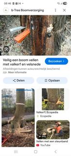 Vellen van bomen., Tuin en Terras, Ophalen, Takken