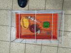 Cage pou hamsters et souris avec accessoires., Animaux & Accessoires, Souris, Moins de 60 cm, Cage, Comme neuf