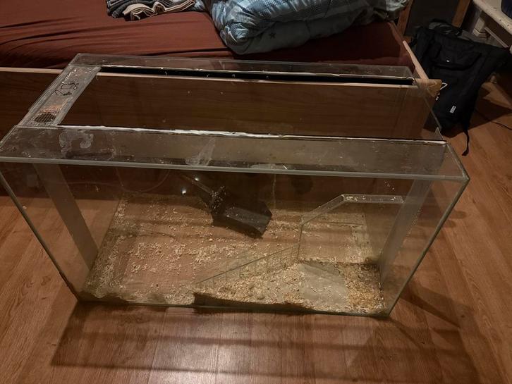 Glazen terrarium, Dieren en Toebehoren, Knaagdieren en Konijnen | Hokken en Kooien, Gebruikt, Kooi, 75 tot 110 cm, Hamster, Muis