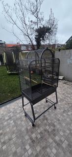 Papegaaienkooi, Enlèvement