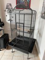 Cage perroquet, Ophalen