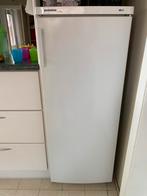Koelkast Liebherr, Ophalen, Gebruikt, 200 liter of meer, 140 tot 160 cm